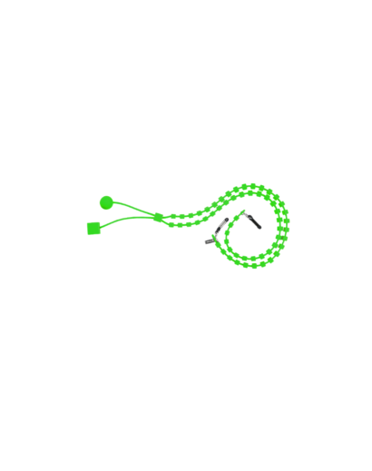 BE CHAIN' LADY - Vert flup + Cordon + Porte monnaie