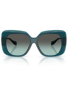 Solaires/Lunettes de soleil VERSACE - MOD4499U 5540/2A- Profil | Pour Femme| Opticien Martinique - Schoelcher | Clin d'oeil Cluny |